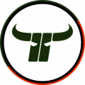 OCS Capital Bulls Logo